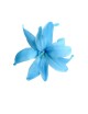 Tubéreuse Stabilisée bleue