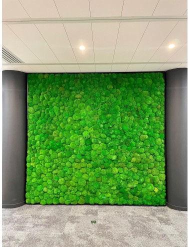 Mur Végétal Stabilisé -...