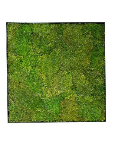 Tableau végétal stabilisé en mousse plate