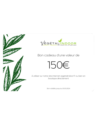 Carte Cadeau