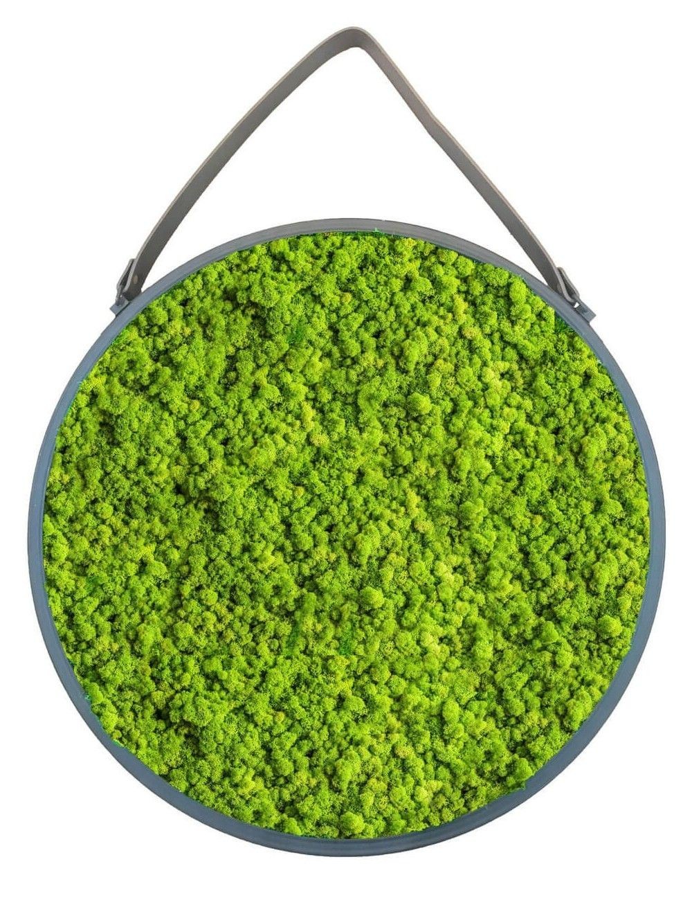 Tableau rond végétal en lichen vert