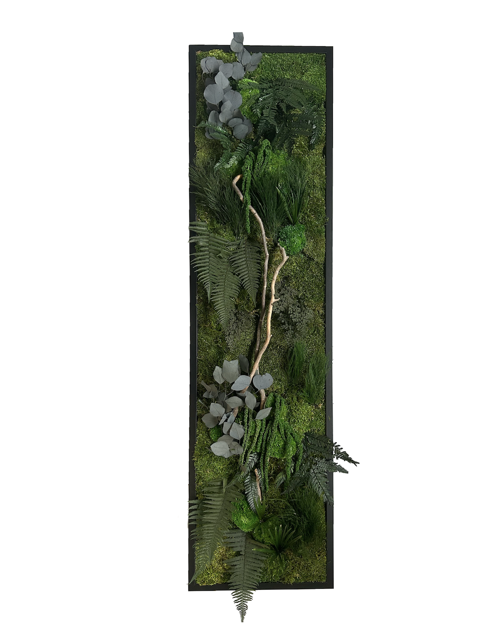 Grand tableau végétal stabilisé Saint Lô 35 cm - Tableau végétal stabilisé  - Artiplantes