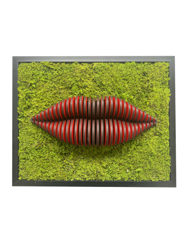 Tableau végétal avec bouche rouge en bois