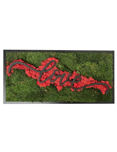 Tableau végétal vert et rouge avec le mot Love