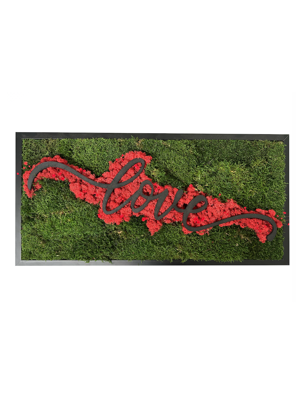 Tableau végétal vert et rouge avec le mot Love