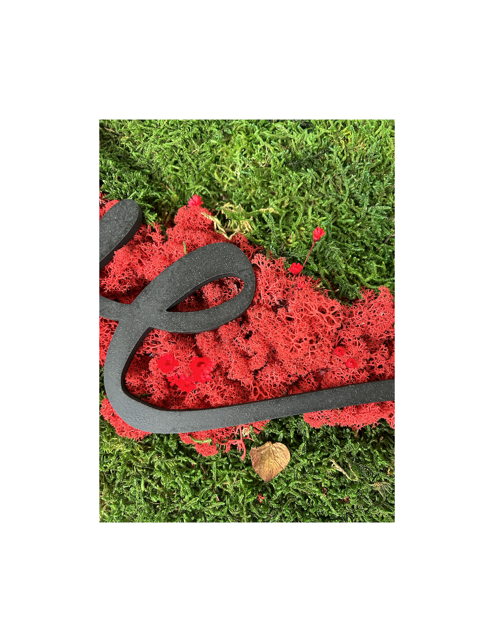 Tableau végétal vert et rouge avec le mot Love