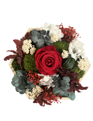 Hexagone végétal stabilisé avec fleurs rouges