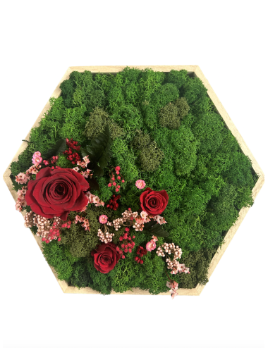 Hexagone végétal stabilisé avec fleurs rouges