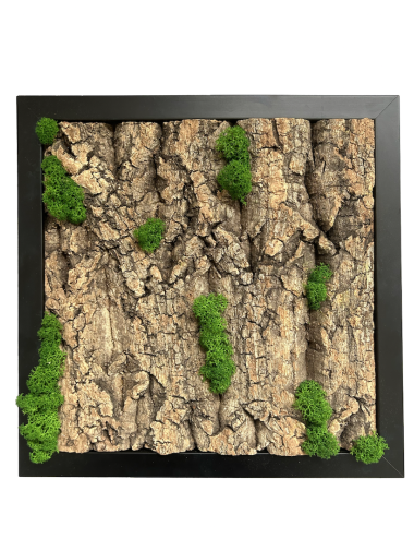 Tableau végétal avec écorce de bois