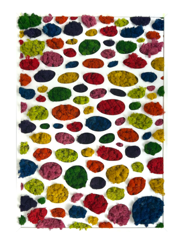 Tableau végétal en lichen de toutes les couleurs