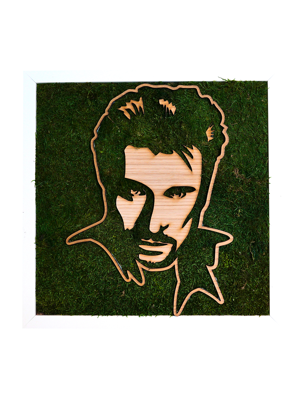 Tableau végétal avec le visage de Johnny Hallyday