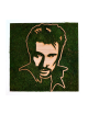 Tableau végétal avec le visage de Johnny Hallyday