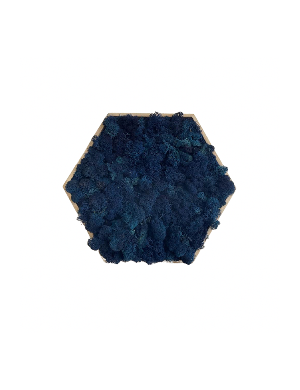 Hexagone en lichen bleu
