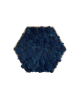 Hexagone en lichen bleu