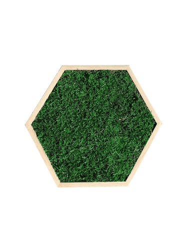 Hexagone en mousse plate vert foncée