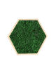 Hexagone en mousse plate vert foncée