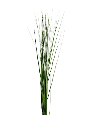 Steel grass