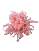 Chrysanthème Anastasia Stabilisé rose
