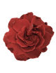 Gardenia stabilisé rouge