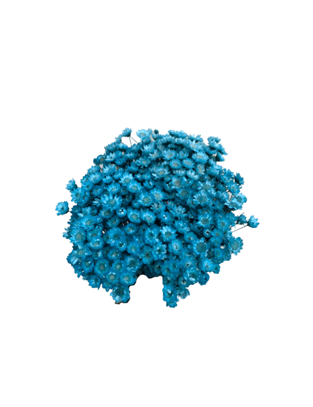 Glixia Stabilisé bleu