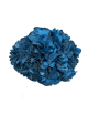 Hortensia Stabilisé bleu