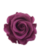 Rose Stabilisée mauve