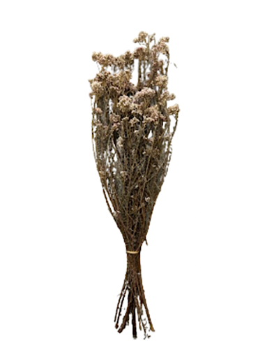 Fleur de Riz Stabilisée orange