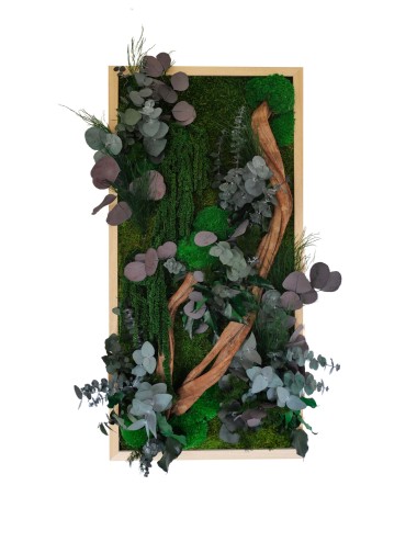 Tableau végétal avec végétaux verts et violets