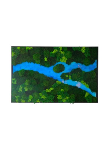 140x90 Tableau végétal Forest