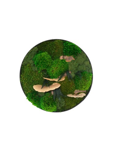 Tableau végétal avec végétaux verts