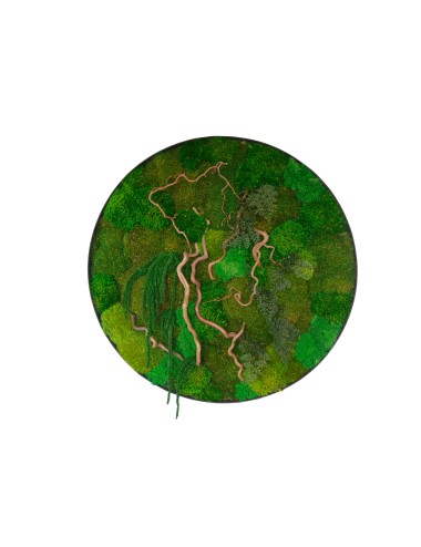 Tableau végétal avec végétaux verts