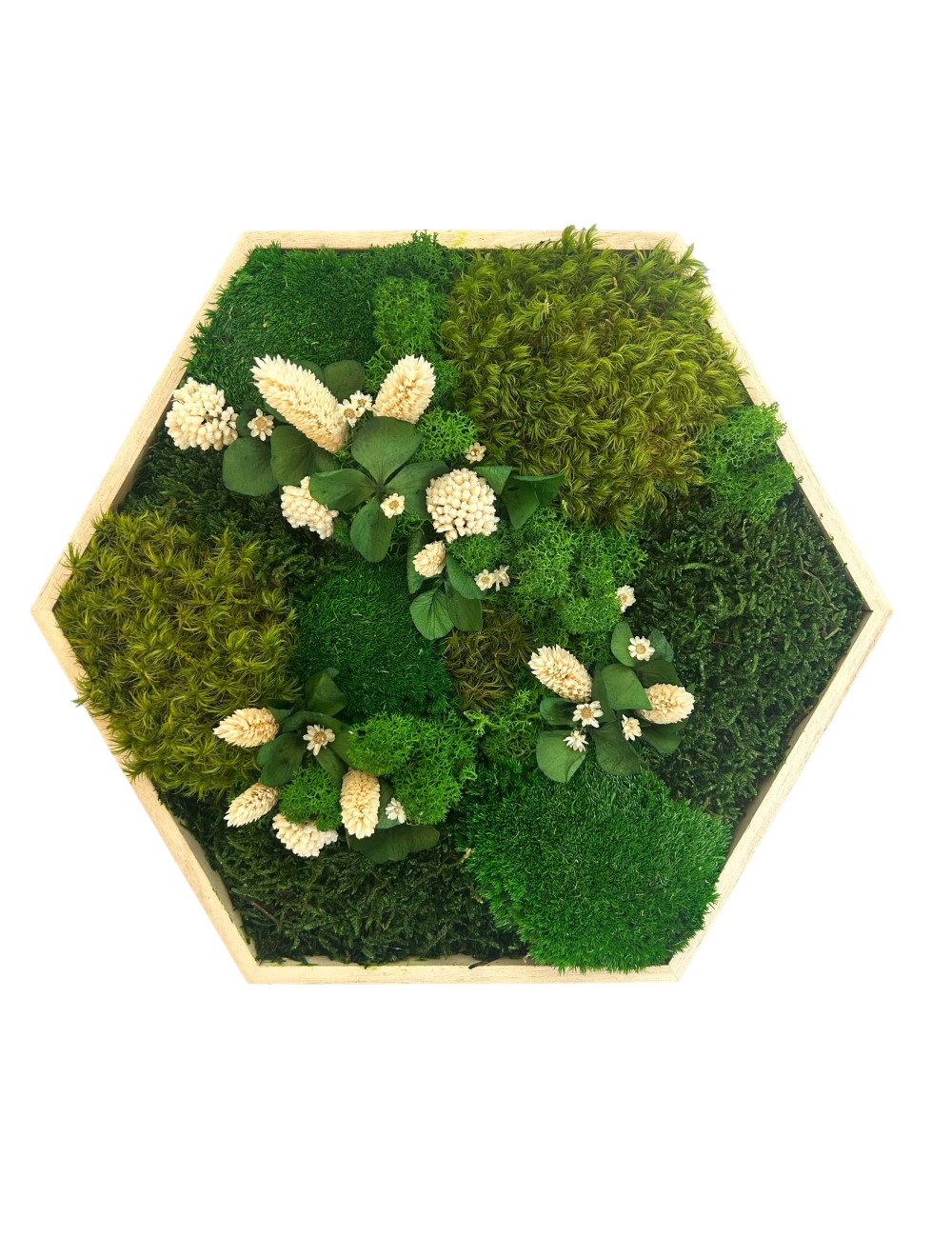 Hexagone végétal avec fleurs blanches