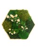 Hexagone végétal avec fleurs blanches