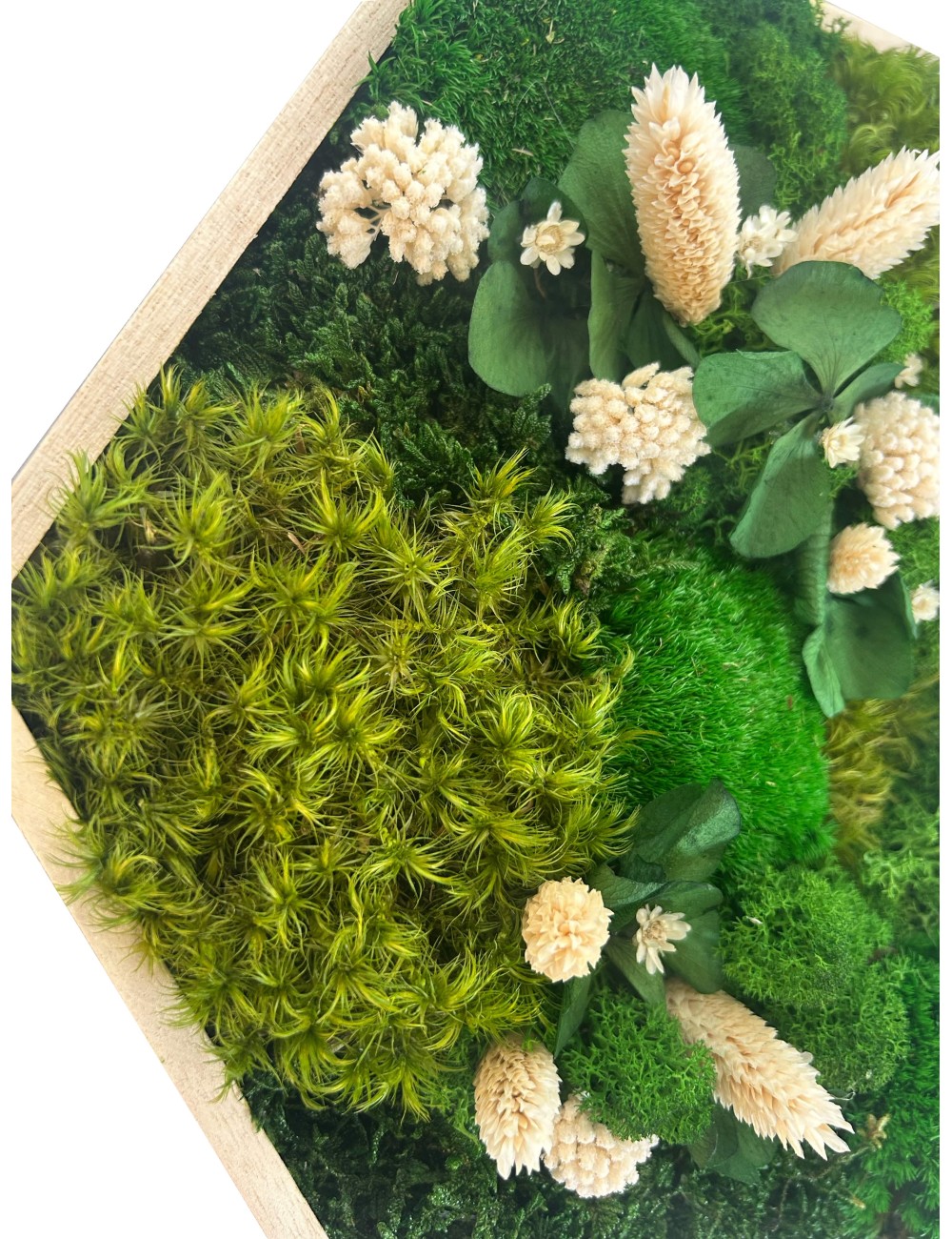 Hexagone végétal avec fleurs blanches