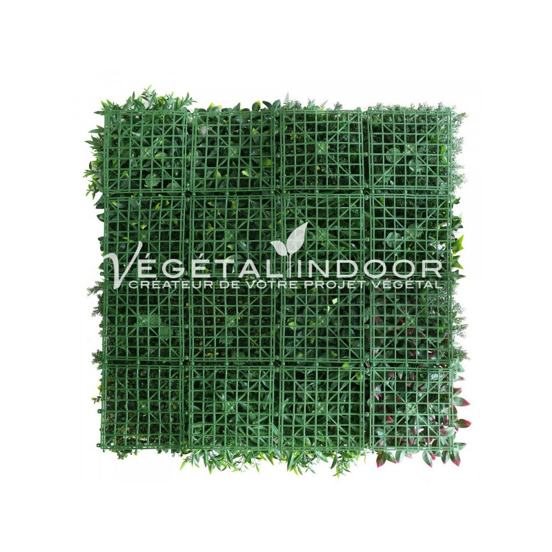 mur végétal oxygène