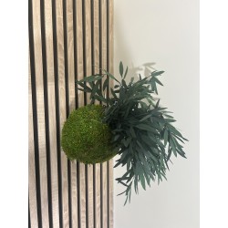Kokedama Nicoly stabilisé