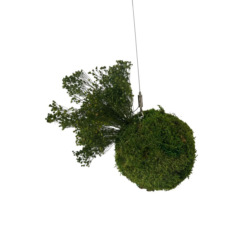Kokedama vegetal