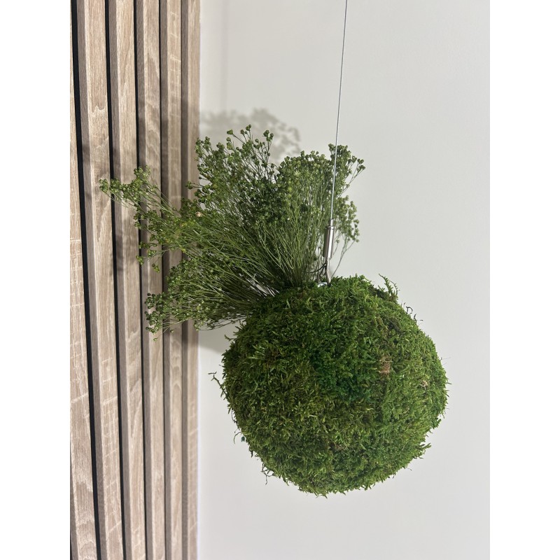 Kokedama vegetal