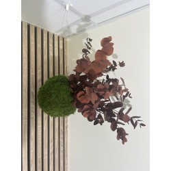 Kokedama Cinerea rouge stabilisé