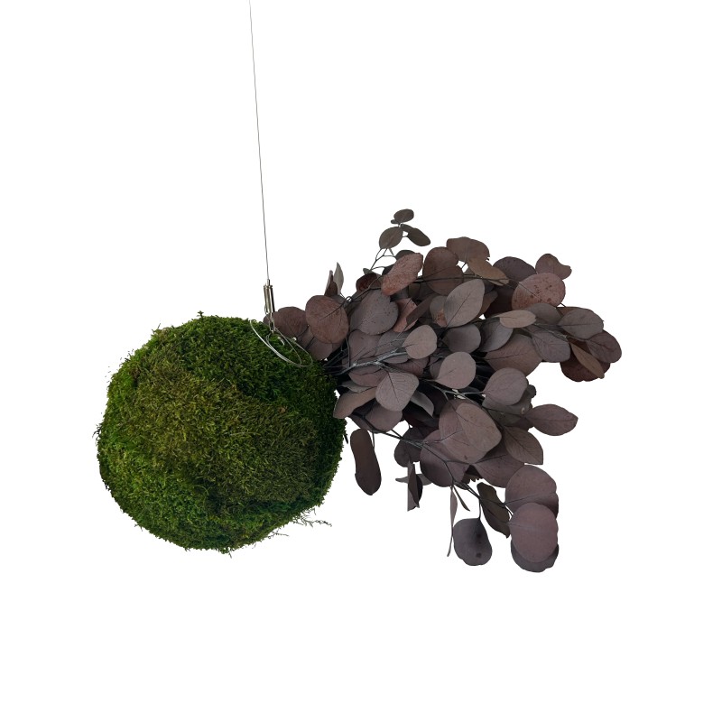 kokedama vegetal