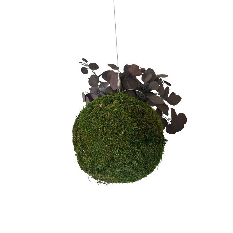 kokedama vegetal