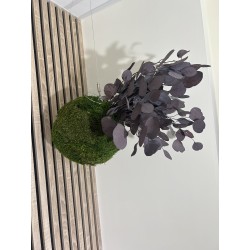 Kokedama Populus stabilisé