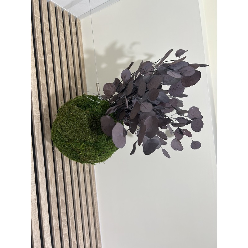 kokedama vegetal