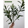 feuillage artificiel vert