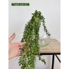 feuillage artificiel vert