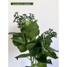 feuillage artificiel vert