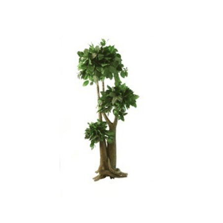 Arbre Bonsaï Salal vert