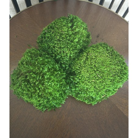 Mousse Boule Stabilisée Vert foncé