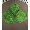 Mousse Boule Stabilisée Vert foncé