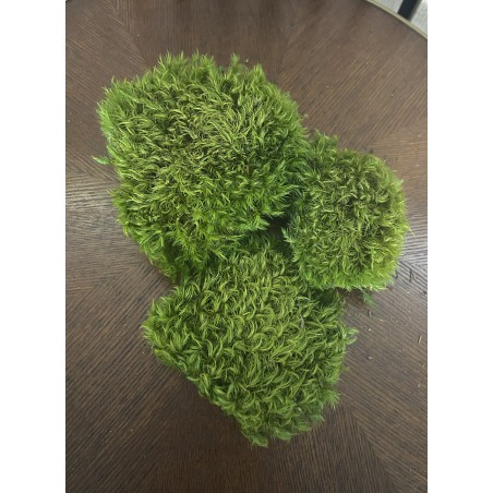 Mousse Boule Stabilisée Vert clair